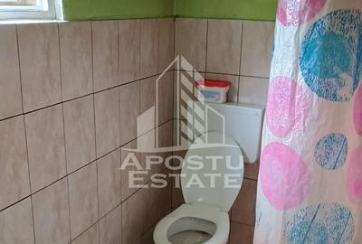 Casa batraneasca de vanzare, 4 camere, in Hunedoara, sat Micanesti - 20