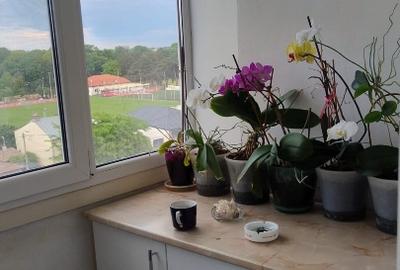 Vânzare apartament 3 camere strada Eroilor nr 8 , zona Sala Sporturilor - 10