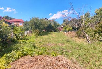 Vând casă cu teren mare în cartierul Dâmbul Rotund - 5