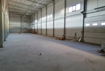 Depozit 550mp, posibilitate extindere - zona Doraly, Afumati - 4