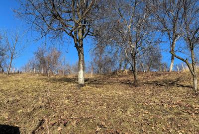 Casa gospodarului, bine întreținută, cu teren generos – Comarnic - 13