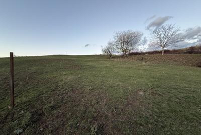 Teren Intravilan cu panorama în Borhanci Str Colonia Sopor 1000mp+85mp cota drum - 3