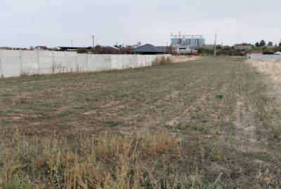 Teren Construcții intravilan de 1050 mp, în Cârcea