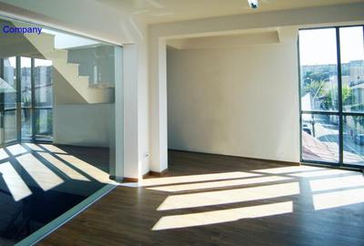 P.ta Domenii-Grivita Vila 2 etaje la 3200 euro/luna - 7