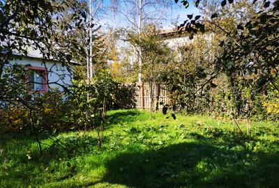 Teren Generos cu Casa in Gruiu - Snagov - 4