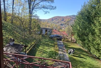 Vila Bughea de Jos - Campulung - 10