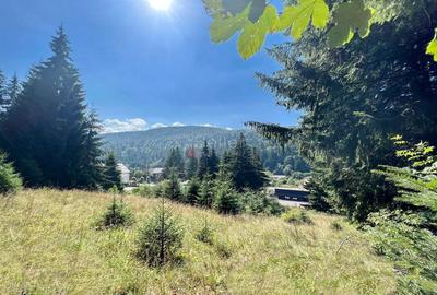 Teren Intravilan Predeal - Acces direct DN - Priveliste deosebita - 37