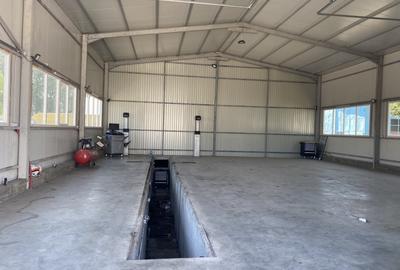 Vand  proprietate ideala pt logistica,, spatii depozitare, productie - 7