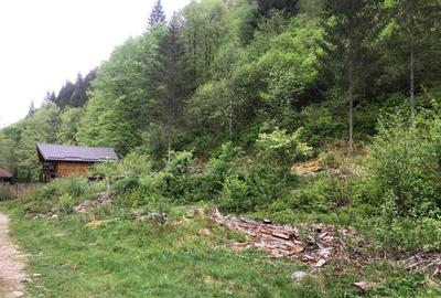 Teren pentru cabana Racatau - 2