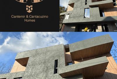Cantemir Cantacuzino Homes