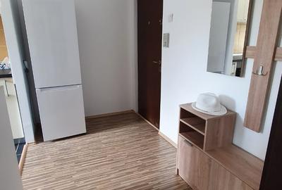 Apartament 2 camere Astra-Lidl,renovat,mobilat-utilat,2000 lei - 6