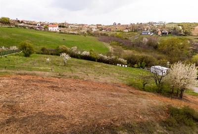 RECO Teren intravilan in Oradea 2086mp - 8