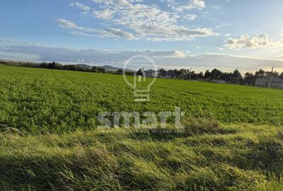 Teren Bistrita Valea Jelnei 19 eur mp - 4