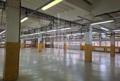 Hală de producție / depozitare – 1.300 mp utili, etaj 1, zona centrala - 5