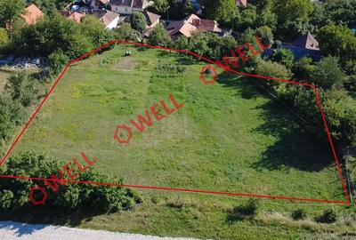 Teren intravilan de vânzare în Sfântu Gheorghe, str. Pădurii - 3