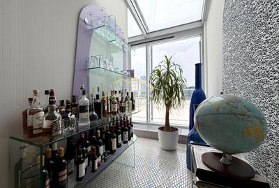 Exclusive Penthouse *514sqm* / terrace 255sqm - Lake View // Floreasca - 28