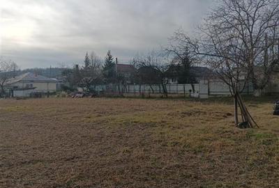 Teren 3500mp.zona centrala Paun Bucium la asfalt cu toate utilitatile - 2