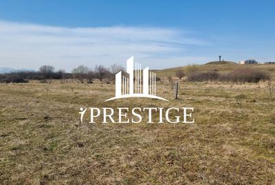 TEREN DE VÂNZARE 1000 MP ȘELIMBĂR ZONA TROIȚĂ | INVESTIȚIE - 13