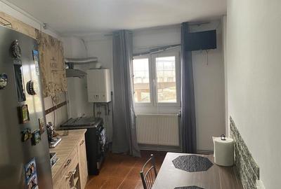 Caransebes, 2 Cam., Dec., Et.,2, Mobilat+Utilat, Balta Sarata - 7