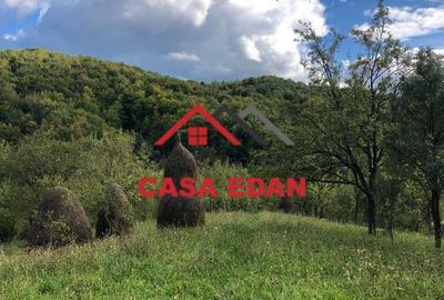 Teren extravilan in Brebu(Pietriceaua)--9104mp--50.000e - 8