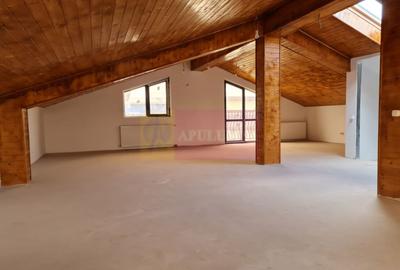 Vila individuala Bragadiru. - 21