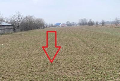 Teren de vanzare 7.123 mp intravilan, Buhusi - 11