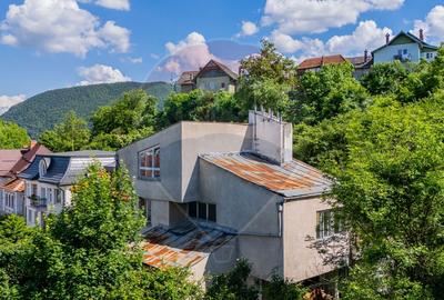 Horia 51B, Brașov. O poziție pe care orașul nu o mai produce - 4