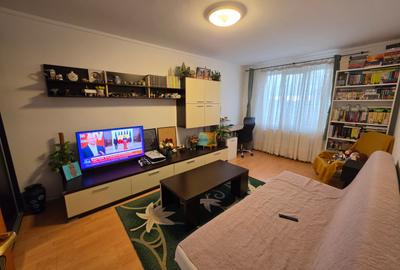 Dristor, rond Baba Novac, pe Vulcan Judetul, 5 minute metrou - 7