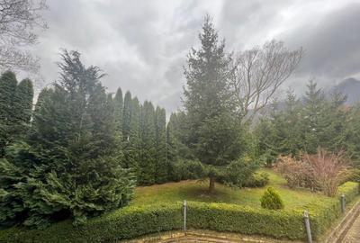 Vila de vis cu parc privat  — Panoramă Unică Spre Crucea Caraiman, - 27