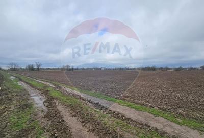 Teren de vanzare, intravilan, Adunatii-Copaceni Strada Scolii Primarie - 1