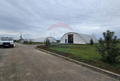Hale de vanzare | 1407mp | Teren 9344 | Potigrafu - 4