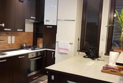 Apartament zona Garlei-Dobrogeanu Gherea cu terasa mare si curte proprie - 7