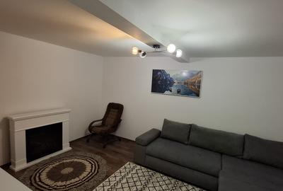 Casa de Vacanta Lepsa - 4