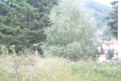 Teren intravilan situat in Busteni-Valea Alba - 5