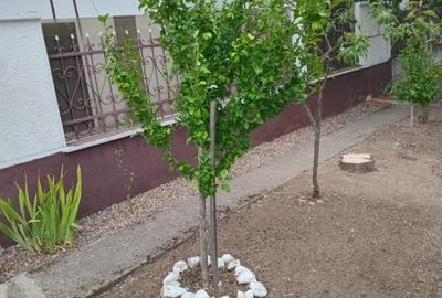 Casă cu panoramă la pădure, aproape de lacul de agrement - 11