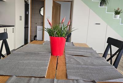 Casa tip duplex de inchiriat - 11