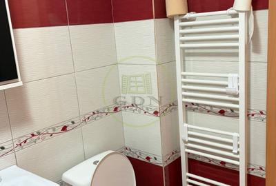 Apartament 2 camere de inchiriat-Zona Doamna Stanca - 10