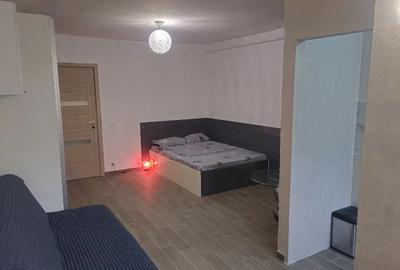 Garsoniera, decomandata, 34 mp, ac, boiler, parc, Titan - Muncii - 2