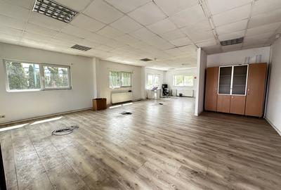 DEPOZIT 450 mp. Birouri Hala si TEREN Imprejmuit 4077 mp Asfalt - Utilitatile - 2