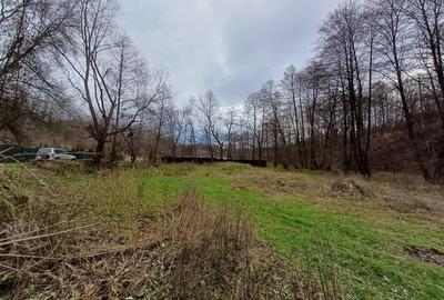 Resita, Teren Drept Intravilan, Langa Prau si Drum, 1308 Mp., 15 Euro Mp., Renk - 10