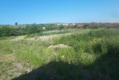 Teren strada Ion Creanga, comuna Chinteni - 1