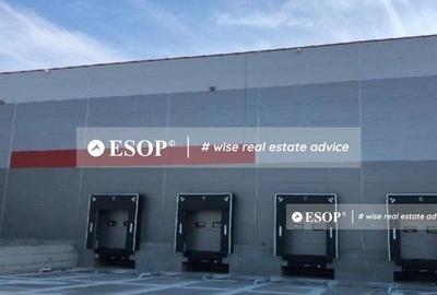 Timisoara Industrial Park, spatii industriale, 3.000 - 46.000mp - 2