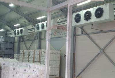 Depozit refrigerare de 292mp Dumbrăveni, Suceava - 11