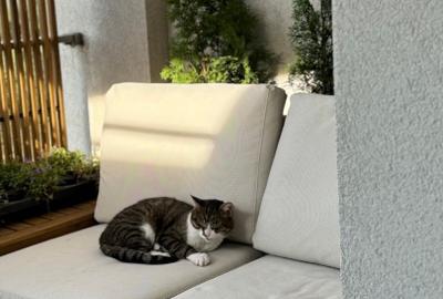 Apartament  23 AUGUST, 3 camere + terasă 20MP, 2 locuri de parcare - 14