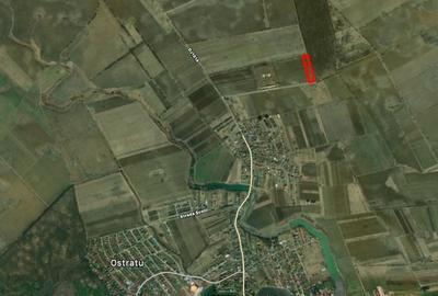 REL4000892 Corbeana - Ostratu 15200 mp langa padure - 8