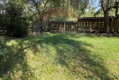 Ansamblu de 7 Căsuțe de Vacanță, Ocna Șugatag - 8