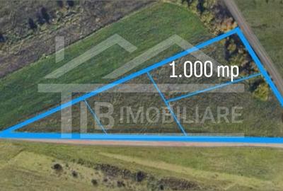 Teren, 1.000 mp, intravilan, Zona Belvedere - 1