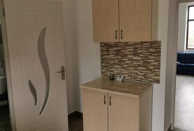 Apartament 1 camera central de inchiriat - 2