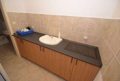 Spatiu pentru birouri Central-Take Ionescu - 4