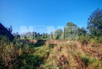 TEREN INTRAVILAN | FRATĂUȚII NOI | 1.1 HA - 7
